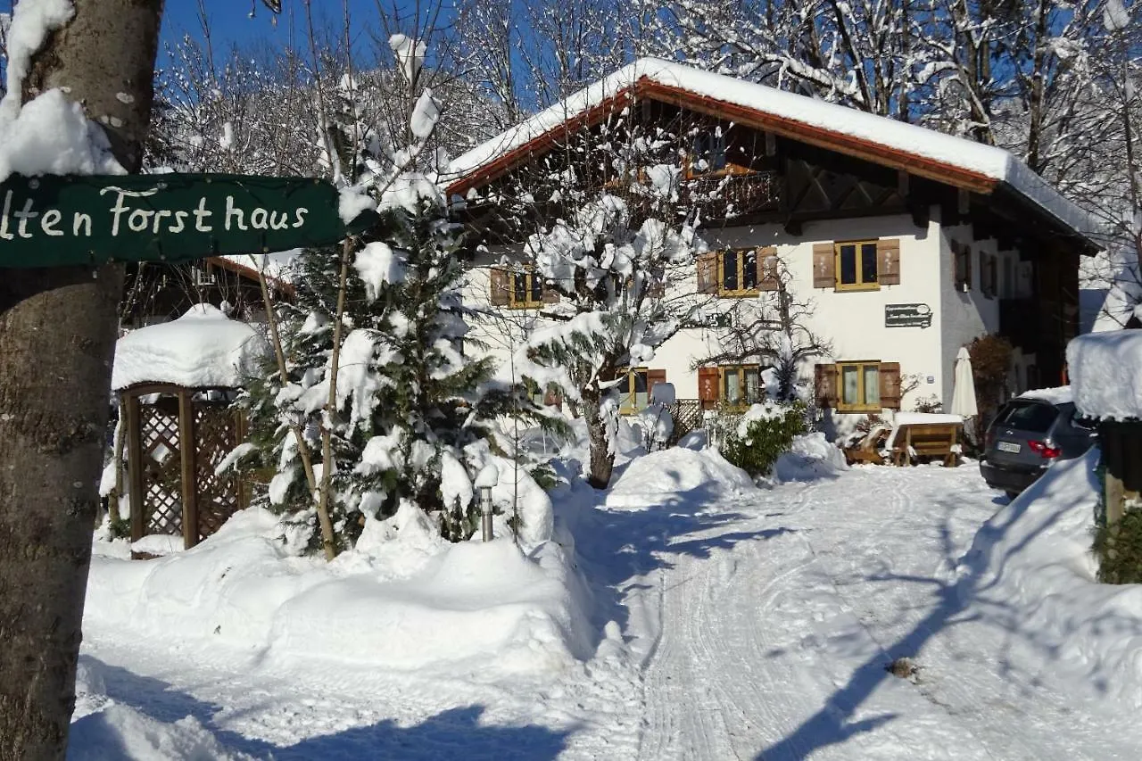 Zum Alten Forsthaus Reit im Winkl Guest house